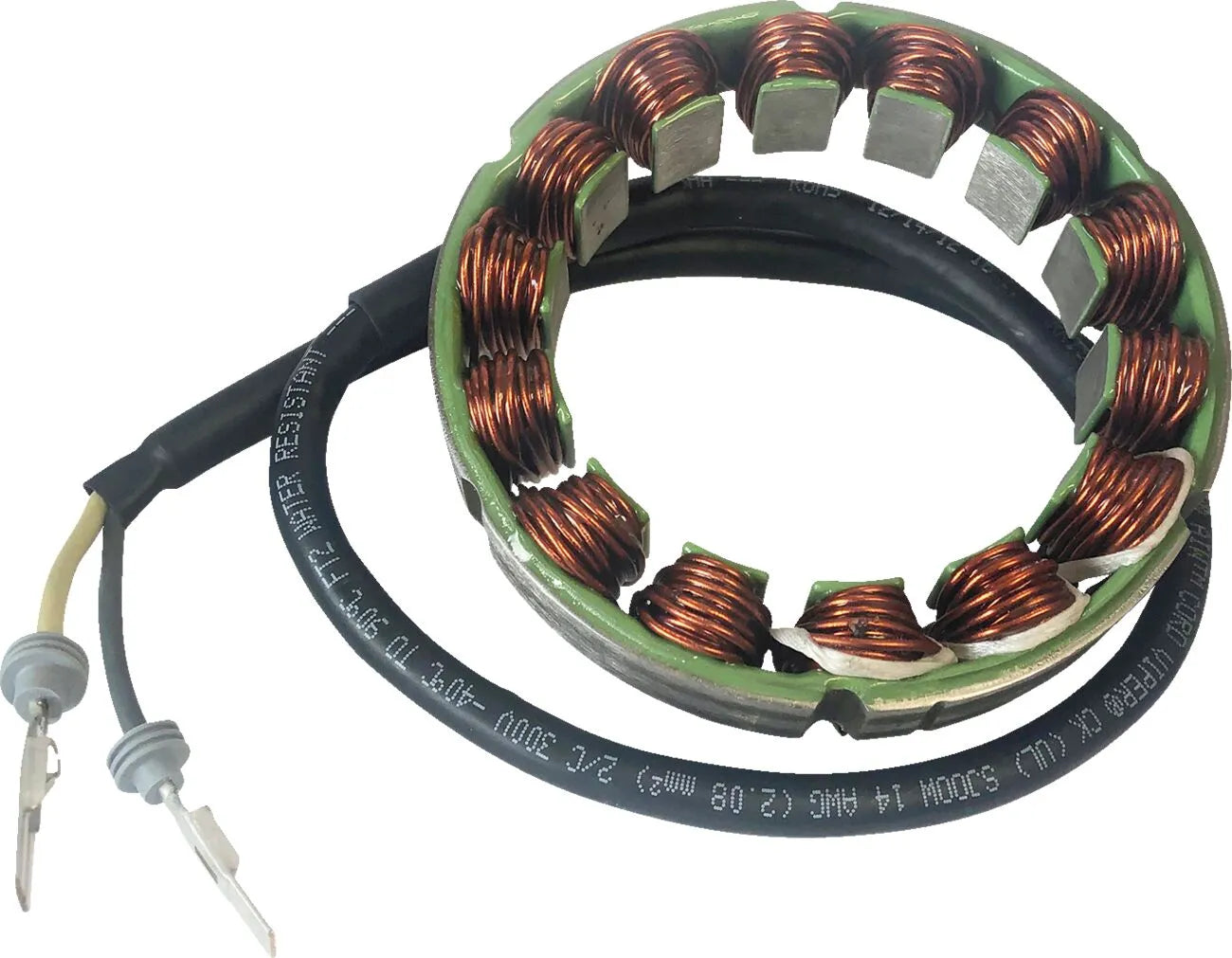 Rick's Motorsport Electric Stator