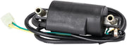 Rick's Motorsport Electric Ignition Coil