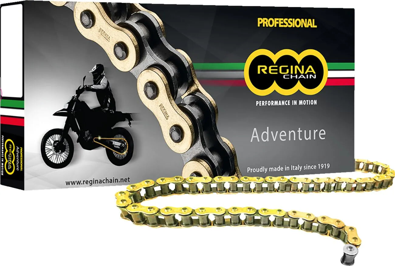 Regina 520 Zre Z-ring Chain