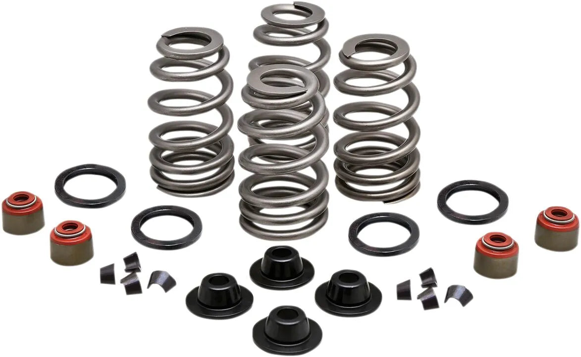 Kibblewhite Beehive Valve Spring Kit