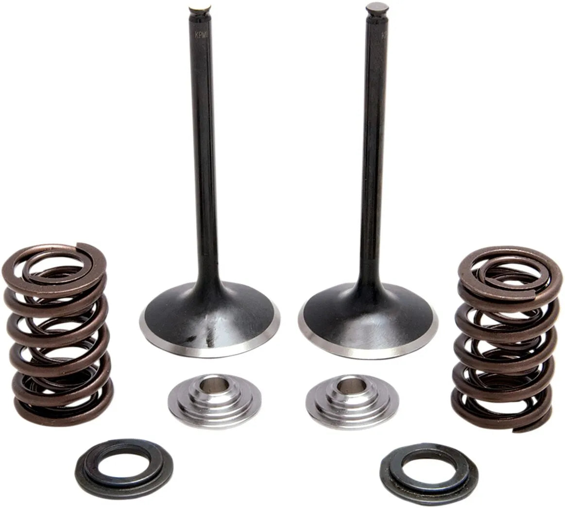 Kibblewhite Stainless Steel Valve & Spring Kit