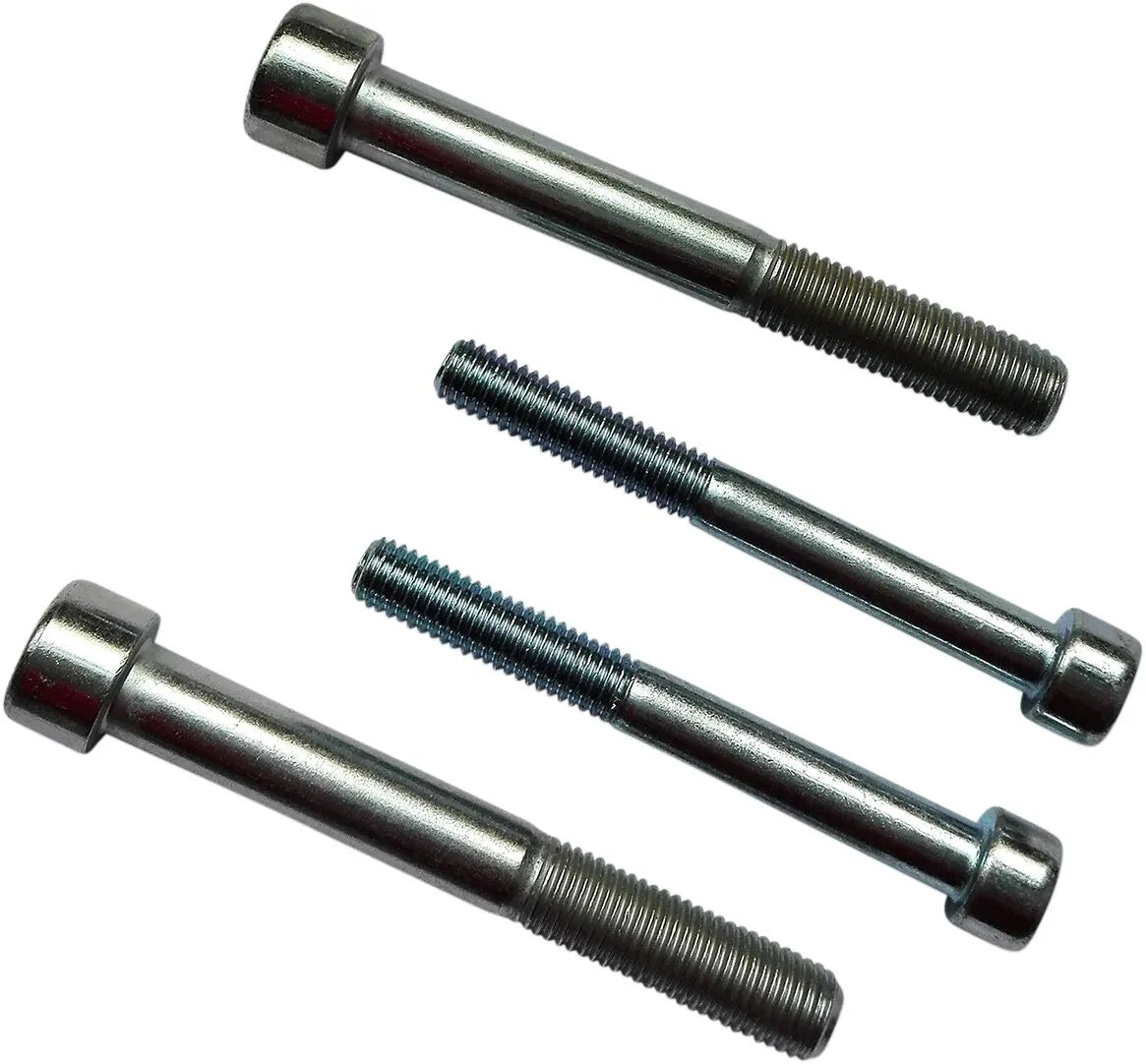 Custom Acces Sissybar & Saddlebag Mounting Kit