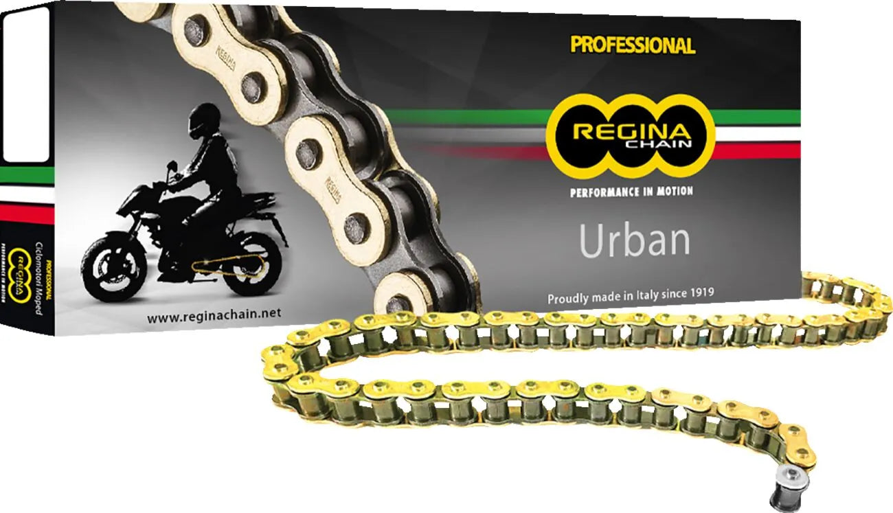 Regina 428 Eb-oro Gold Drive Chain
