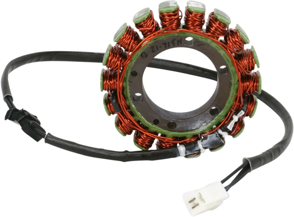 Rick's Motorsport Electric Kawasaki Stator