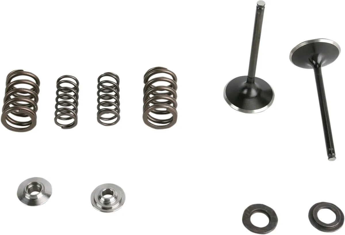 Kibblewhite Stainless Steel Intake Valve Kit