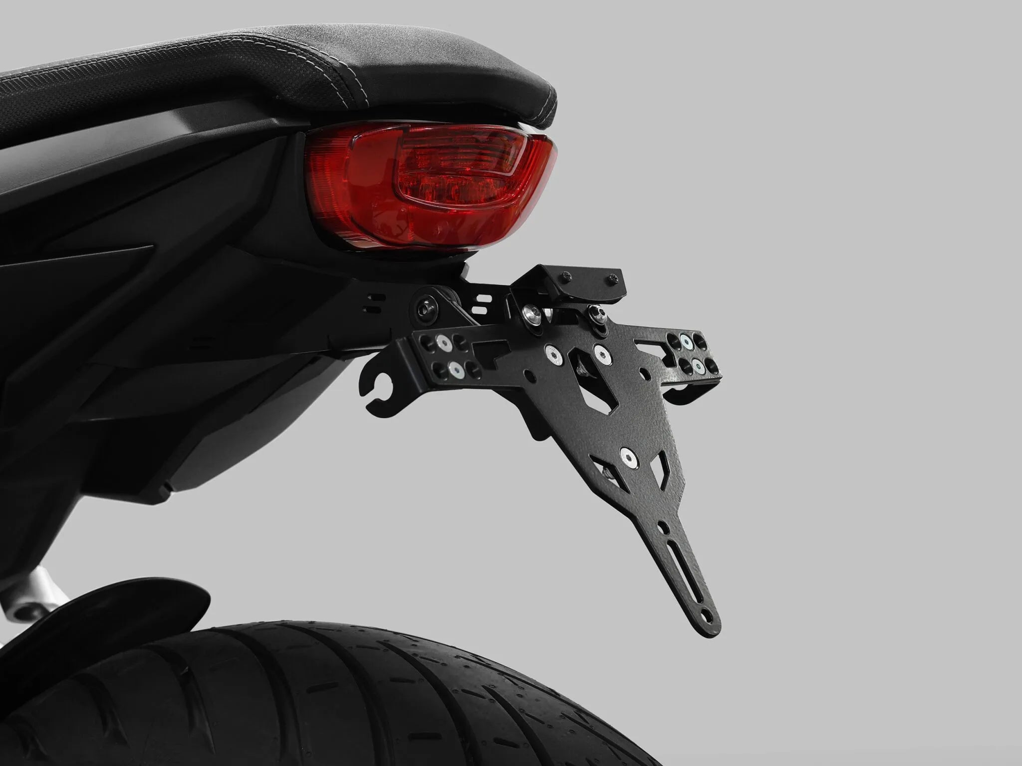 Zieger Pro License Plate Holder Type B