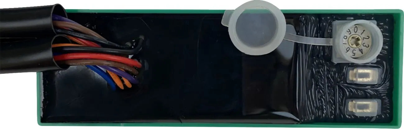 Custom Dynamics Smart Triple Play Signal Module