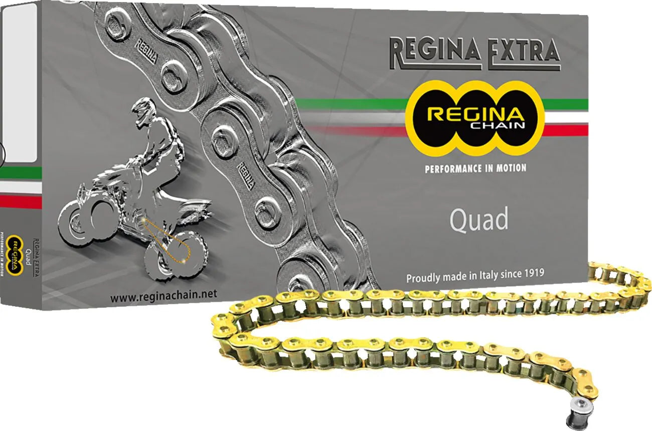 Regina 520 Quad Drive Chain